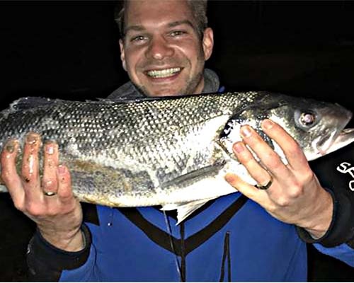 Zeebaars aan de Zeeuwse kust