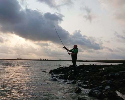 Zeebaars vissen kan iedereen! Zeebaars vissen kan iedereen!