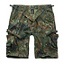 BDU Ripstop Flecktarn Shorts Heren BDU Ripstop Flecktarn Shorts Heren