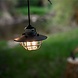 Barebones Edison Pendant Light Bronze USB Kampeerlamp Barebones Edison Pendant Light Bronze USB Kampeerlamp