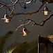 Barebones Edison Pendant Light Red USB Kampeerlamp Barebones Edison Pendant Light Red USB Kampeerlamp