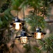 Barebones Edison String Light Red USB Kampeerlamp Barebones Edison String Light Red USB Kampeerlamp