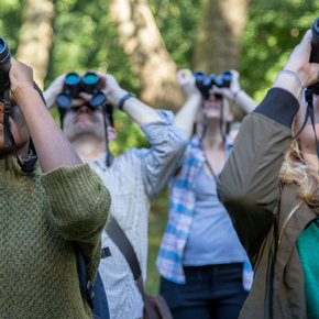 Info Verrekijkers Info Verrekijkers