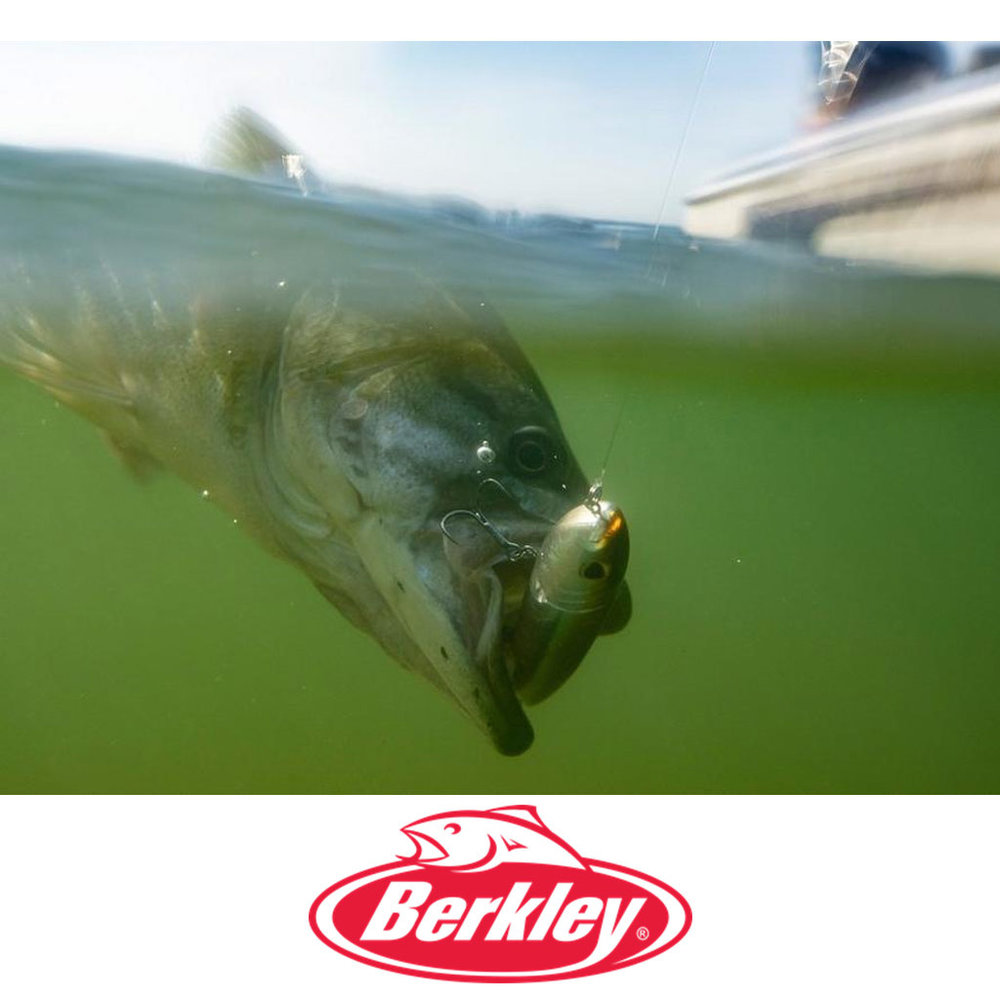 Berkley J-Walker 100mm Topwater Blue Bullet Kunstaas Berkley J-Walker 100mm Topwater Blue Bullet Kunstaas