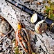 Berkley DEX Spinnerbait TG 11G CW Wagasaki Kunstaas Berkley DEX Spinnerbait TG 11G CW Wagasaki Kunstaas