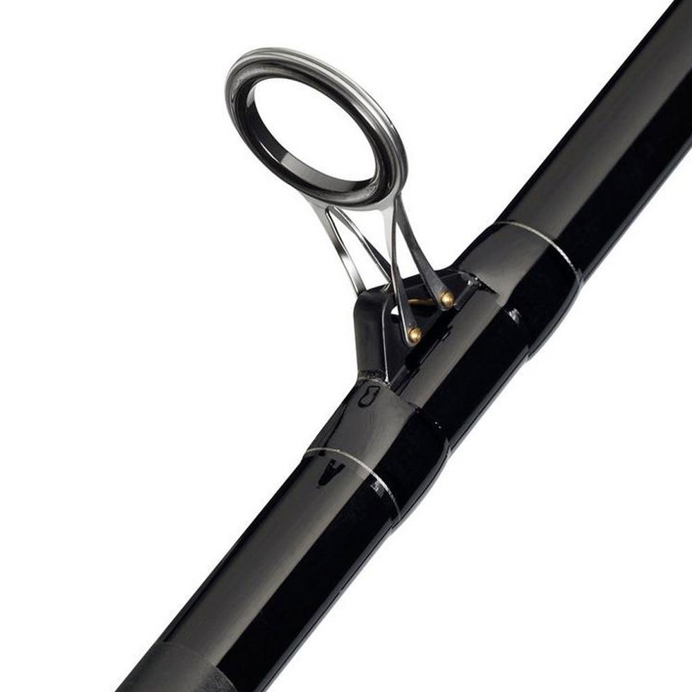 Mitchell Adventure II Surf 423 100-250 Hengelset