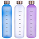 Alpina 1 Liter Drinkfles Alpina 1 Liter Drinkfles