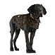 Carhartt Firm Duck Insulated Dog Camo Chore Coat Hondenjas Carhartt Firm Duck Insulated Dog Camo Chore Coat Hondenjas