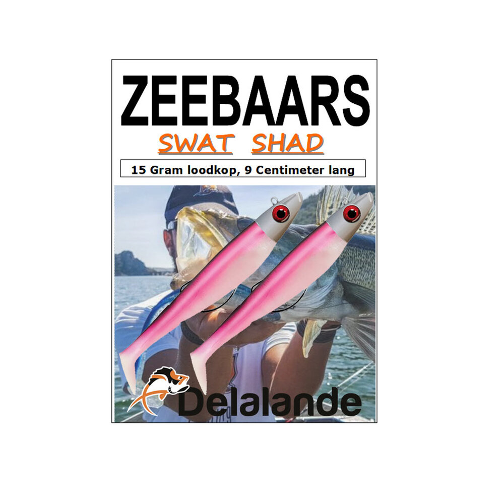 Delalande Swat Shads 9cm 15g Kunstaas 2 Stuks