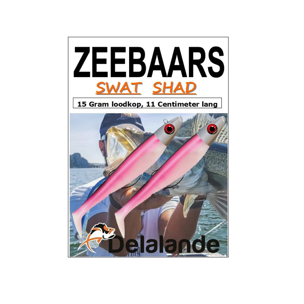 Delalande Swat Shads 11cm 15g Kunstaas 2 Stuks