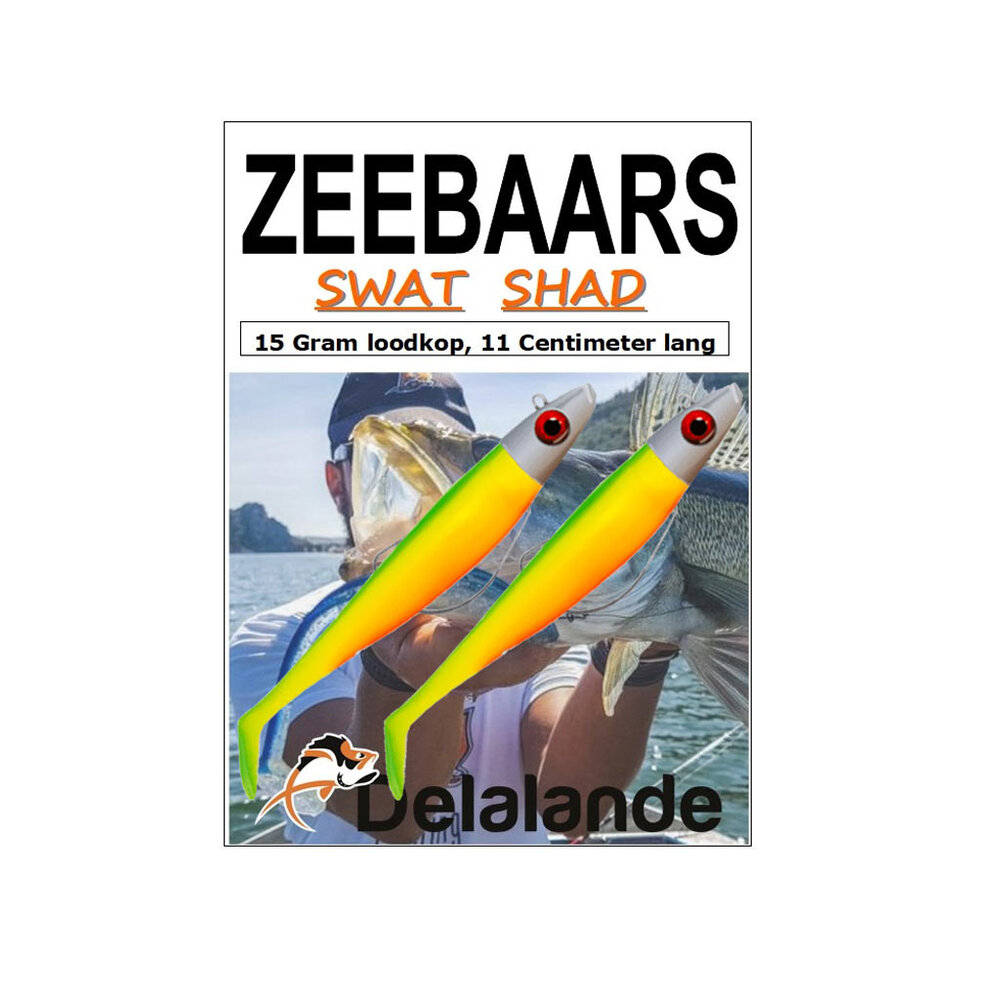 Delalande Swat Shads 11cm 15g Kunstaas 2 Stuks
