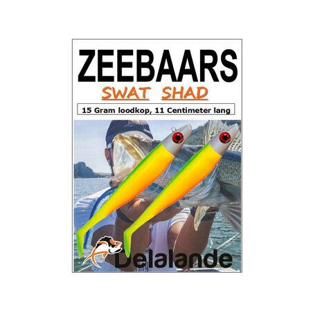 Delalande Swat Shads 11cm 15g Kunstaas 2 Stuks