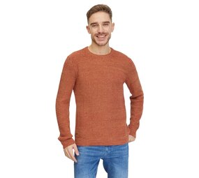 Ragwear Aralt Cinnamon Gebreide Trui Heren