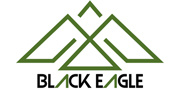 Black eagle logo