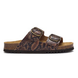 Scholl Josephine Syn Marrone Brown Sandalen Dames