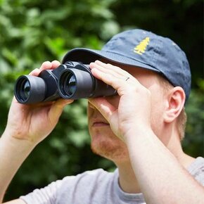 Verrekijkers Verrekijkers