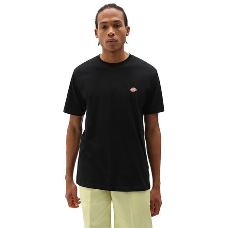 Dickies Mapleton Short Sleeve Tee Black T-Shirt Heren