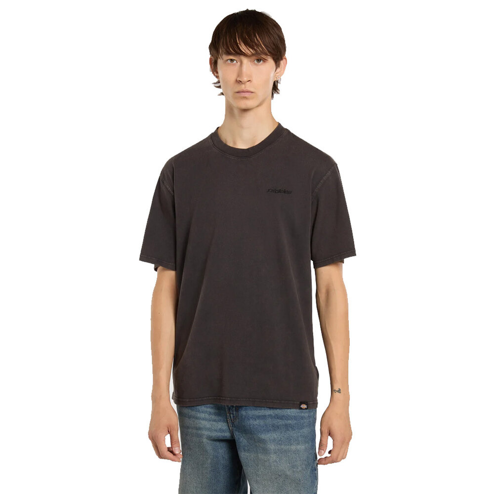 Dickies Plentywood Acid Wash Black Short Sleeve T-Shirt Heren