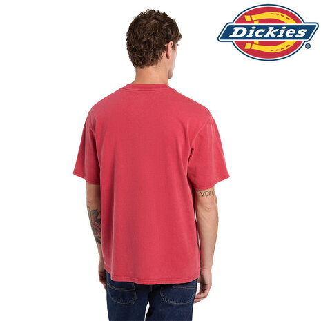 Dickies Plentywood Garnet Short Sleeve T-Shirt Heren