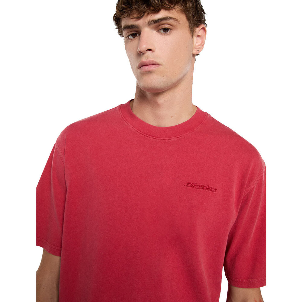 Dickies Plentywood Garnet Short Sleeve T-Shirt Heren