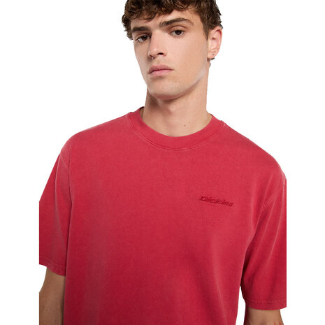 Dickies Plentywood Garnet Short Sleeve T-Shirt Heren