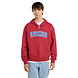 Dickies Aitkin ZT Garnet Hoodie Heren