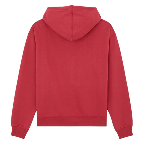 Dickies Aitkin ZT Garnet Hoodie Heren