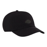Dickies Duck Canvas Black Dad Cap