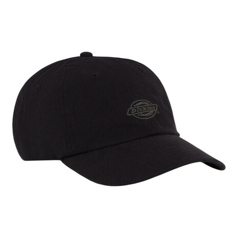 Dickies Duck Canvas Black Dad Cap