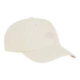 Dickies Duck Canvas Wood Ash Dad Cap