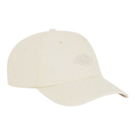 Dickies Duck Canvas Wood Ash Dad Cap