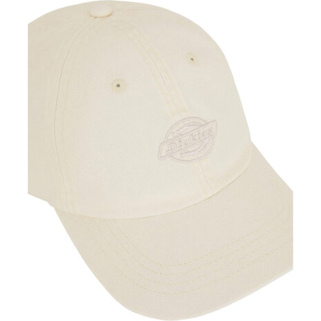 Dickies Duck Canvas Wood Ash Dad Cap