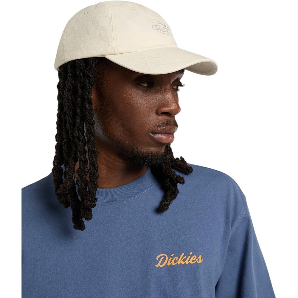 Dickies Duck Canvas Wood Ash Dad Cap