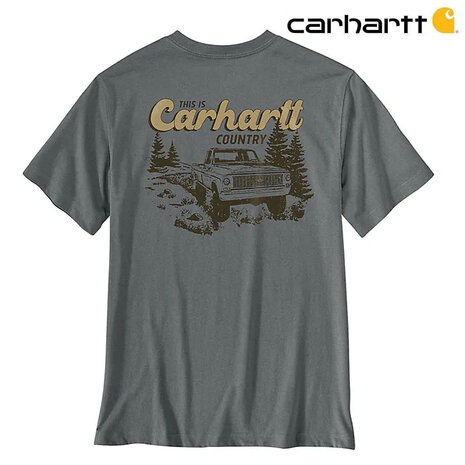 Carhartt Irvine Trucker 3D Logo Weathered Ash Heather T-Shirt Heren