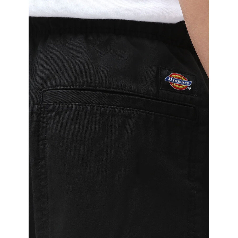 Dickies Pelican Rapids Zwart Shorts Heren