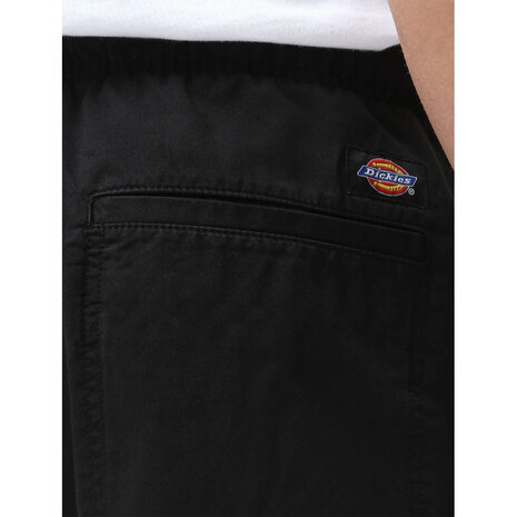 Dickies Pelican Rapids Zwart Shorts Heren
