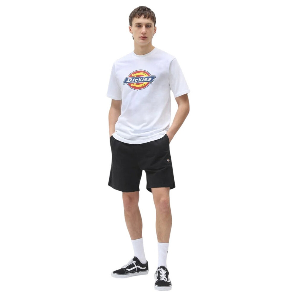 Dickies Pelican Rapids Zwart Shorts Heren