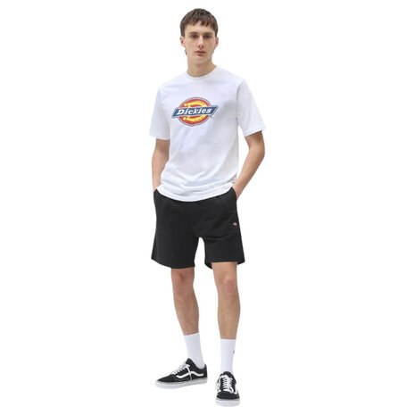 Dickies Pelican Rapids Zwart Shorts Heren