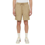 Dickies Pelican Rapids Desert Sand Shorts Heren