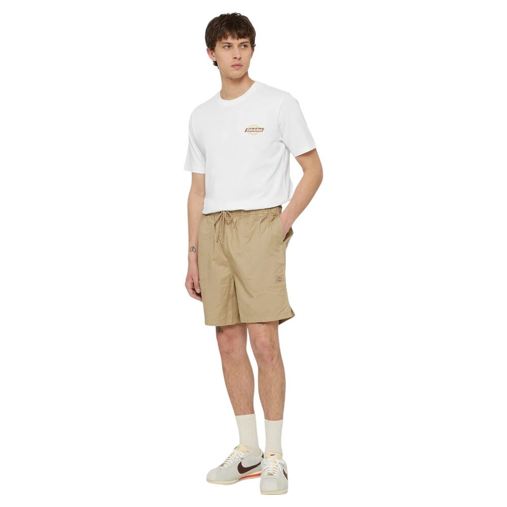 Dickies Pelican Rapids Desert Sand Shorts Heren