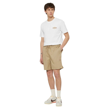 Dickies Pelican Rapids Desert Sand Shorts Heren