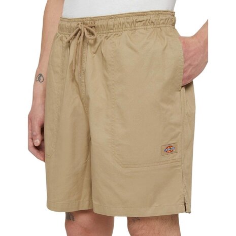 Dickies Pelican Rapids Desert Sand Shorts Heren