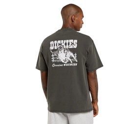 Dickies Buchtell Zwart T-Shirt Heren