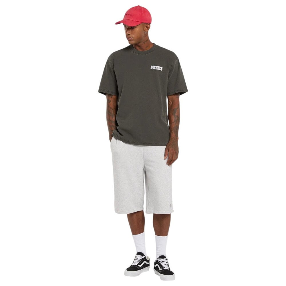 Dickies Buchtell Zwart T-Shirt Heren