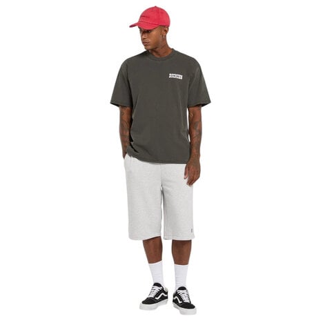 Dickies Buchtell Zwart T-Shirt Heren