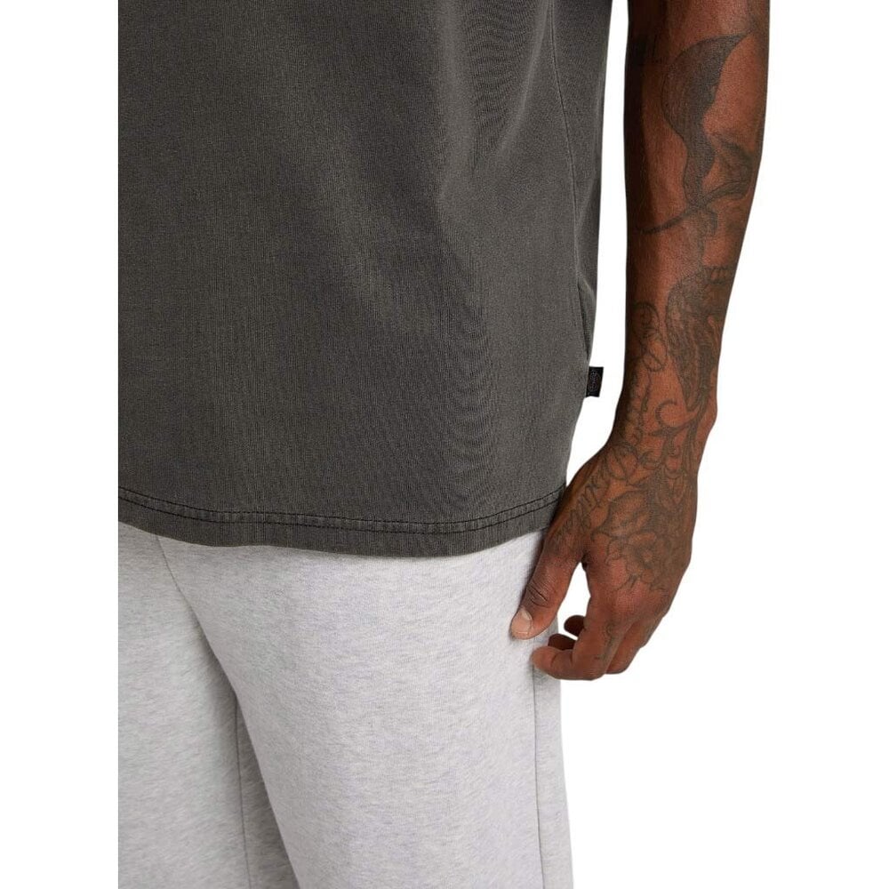 Dickies Buchtell Zwart T-Shirt Heren