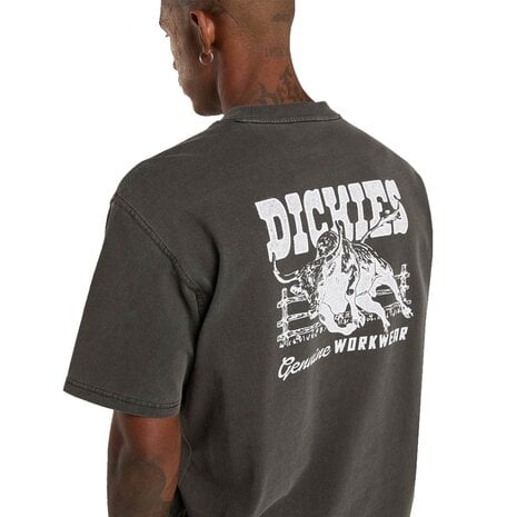 Dickies Buchtell Zwart T-Shirt Heren
