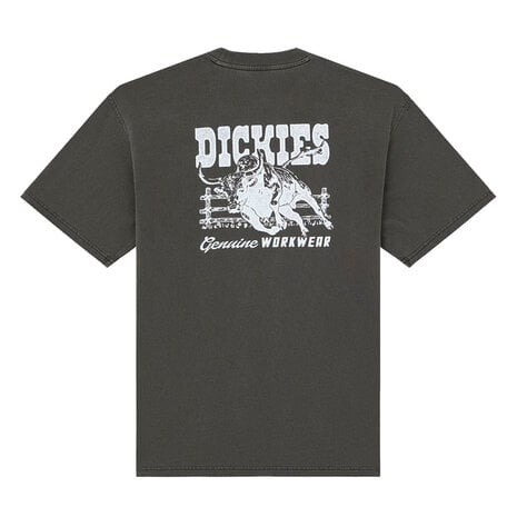 Dickies Buchtell Zwart T-Shirt Heren