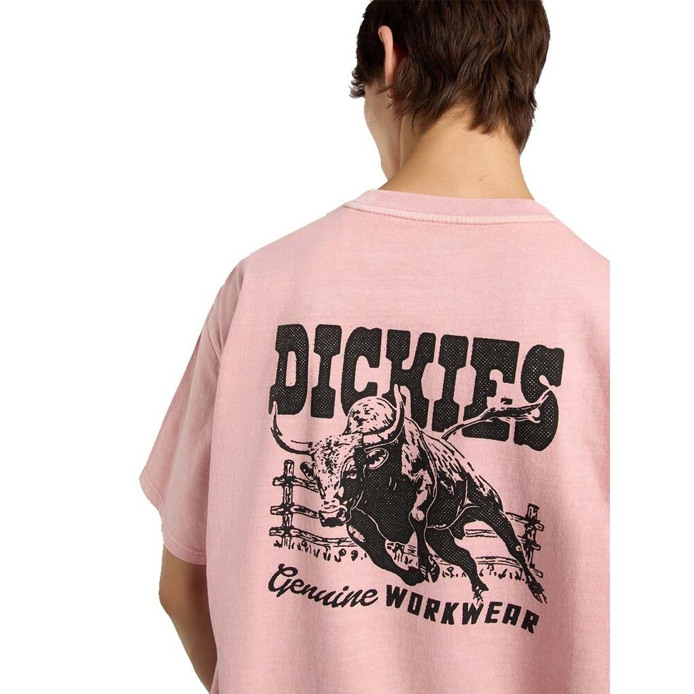 Dickies Buchtell Bridal Rose T-Shirt Heren