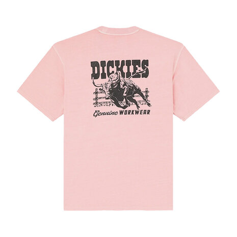 Dickies Buchtell Bridal Rose T-Shirt Heren